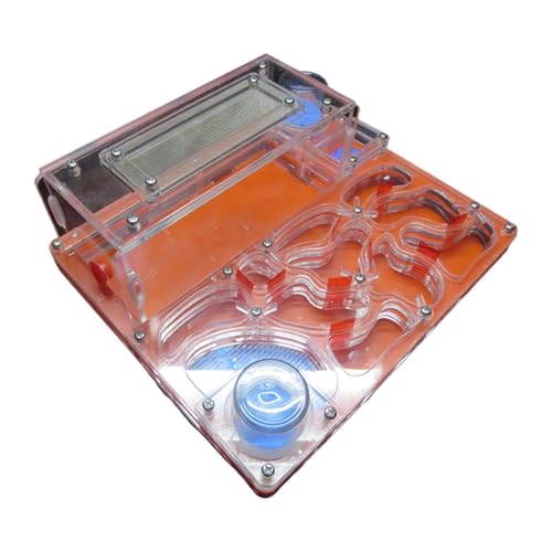 perfk Nest Farm Colony Lernspielzeug mit Fütterungsbereich, pädagogisches DIY rechteckiges Acryl-Schloss-Vivarium für Kinder, Orange Rot perfk Nest Farm Colony Lernspielzeug mit Fütterungsbereich, pädagogisches DIY rechteckiges Acryl-Schloss-Vivarium für Kinder, Orange Rot von perfk