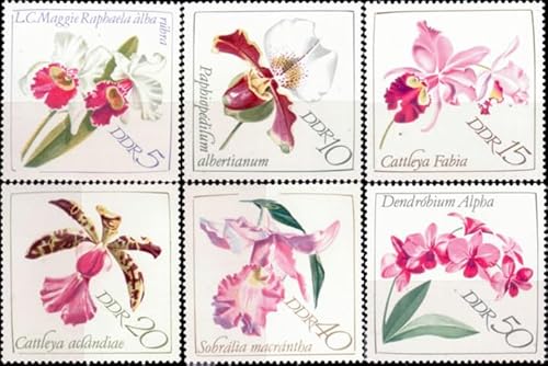 philaseum Briefmarken DDR 1968, Mi. Nr. 1420-1425, Orchideen. Postfrisch philaseum Briefmarken DDR 1968, Mi. Nr. 1420-1425, Orchideen. Postfrisch von philaseum