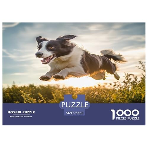Border Collie Puzzle 1000 Teile Puzzle Für Erwachsene Und Kinder Ab 14 Jahren Puzzel 1000pcs (75x50cm) von phszbzs