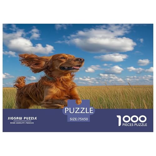 Irischer Setter Puzzle 1000 Teile Erwachsener Kniffel Spaß Für Die Ganze Familie - Abwechslungsreiche 1000 Puzzleteilige Motive Puzzle Erwachsene, Puzzel 1000pcs (75x50cm) von phszbzs