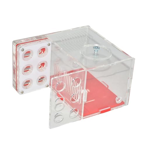 Bauernhaus Habitat Transparentes Acryl mit Futterbereich zum Beobachten von Ameisen, Lernspielzeug für Kinder, 1,5 cm von pistro