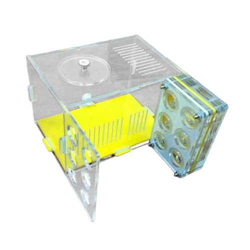 Bauernhaus Habitat Transparentes Acryl mit Futterbereich zum Beobachten von Ameisen, Lernspielzeug für Kinder, 1,8 cm von pistro
