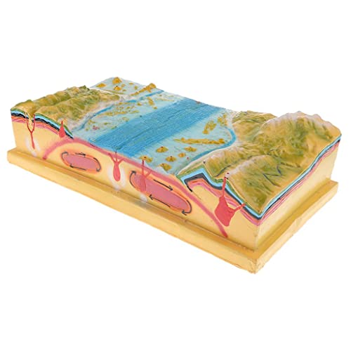pistro 3D Plate Tectonics Model Kit for Geology Science Teaching Aids - Includes SeaFloor, Mountain, Earth - 17.3 x 9.44 x 4.7 Inch pistro 3D Plate Tectonics Model Kit for Geology Science Teaching Aids - Includes SeaFloor, Mountain, Earth - 17.3 x 9.44 x 4.7 Inch von pistro