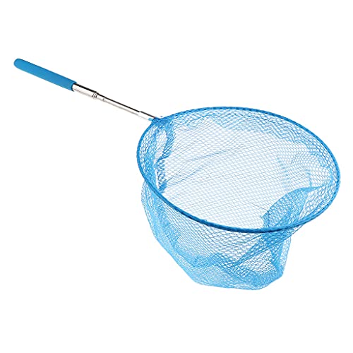 pistro Teleskop-Schmetterlingsnetz, ausziehbar von 35,6 bis 833 cm, für Kinder, Outdoor-Aktivitäten, Gartenaktivitäten, Naturerkundung, Fangen, Blau pistro Teleskop-Schmetterlingsnetz, ausziehbar von 35,6 bis 833 cm, für Kinder, Outdoor-Aktivitäten, Gartenaktivitäten, Naturerkundung, Fangen, Blau von pistro