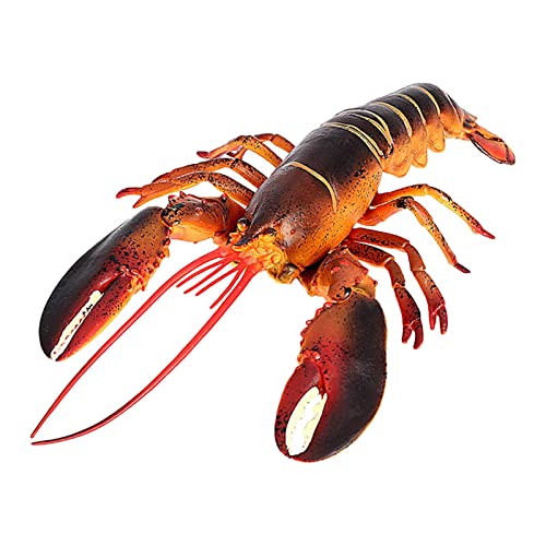 pologmase Hummerfigur - Emulationales Boston Lobster-Modell,Hummer-Spielzeug erhöht das Lerninteresse von Meerestieren, nautischem Urlaubsdekor, Badespielzeug für Kinder von pologmase