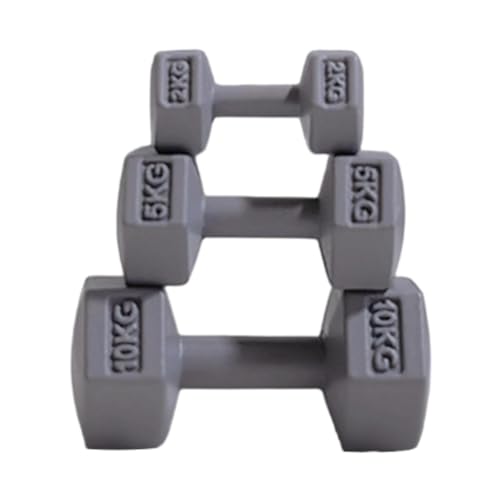 predolo 3 Teiliges Sport Spielset, Hantel Sportzubehör für Puppenhäuser, Puppenhaus Fitnessstudio Langhantel, Miniatur Kettlebell, für Kinder, Grau von predolo