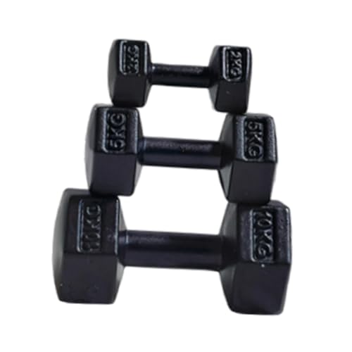 predolo 3 Teiliges Sport Spielset, Hantel Sportzubehör für Puppenhäuser, Puppenhaus Fitnessstudio Langhantel, Miniatur Kettlebell, für Kinder, Schwarz predolo 3 Teiliges Sport Spielset, Hantel Sportzubehör für Puppenhäuser, Puppenhaus Fitnessstudio Langhantel, Miniatur Kettlebell, für Kinder, Schwarz von predolo
