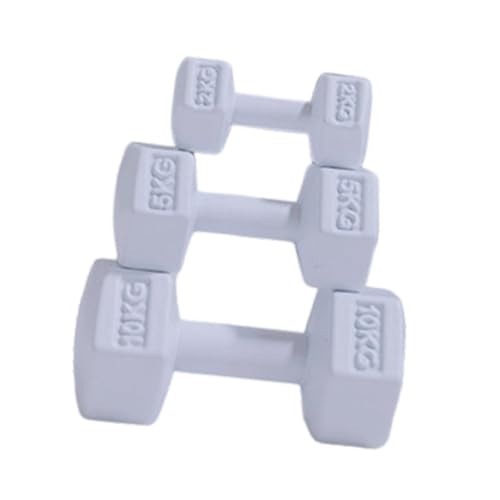 predolo 3 Teiliges Sport Spielset, Hantel Sportzubehör für Puppenhäuser, Puppenhaus Fitnessstudio Langhantel, Miniatur Kettlebell, für Kinder, Weiß predolo 3 Teiliges Sport Spielset, Hantel Sportzubehör für Puppenhäuser, Puppenhaus Fitnessstudio Langhantel, Miniatur Kettlebell, für Kinder, Weiß von predolo