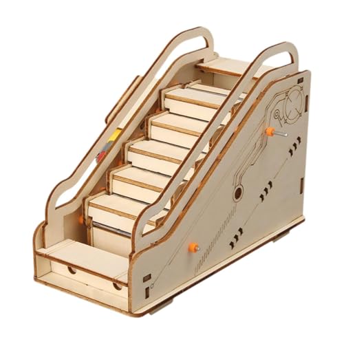 predolo DIY Wissenschaftsprojekt Modell Mini Rolltreppe Modell Stem Spielzeug für Kinder Erwachsene von predolo