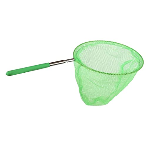 predolo Teleskop Schmetterlingsfang für Kinder – Ausziehbar von 36 cm bis 85 cm, Grün, 20cm predolo Teleskop Schmetterlingsfang für Kinder – Ausziehbar von 36 cm bis 85 cm, Grün, 20cm von predolo