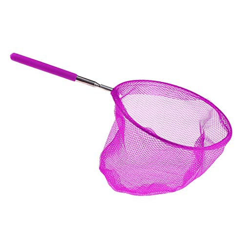 predolo Teleskop Schmetterlingsfang für Kinder – Ausziehbar von 36 cm bis 85 cm, Lila, 20cm predolo Teleskop Schmetterlingsfang für Kinder – Ausziehbar von 36 cm bis 85 cm, Lila, 20cm von predolo