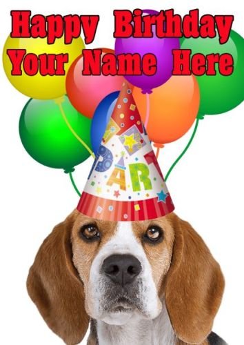 Personalisierte Geburtstagskarte mit Beagle-Motiv, A5, refPID738 von prideindetails