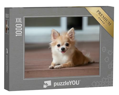 Puzzle 1000 Teile XXL „EIN Chihuahua sitzt auf dem Boden“ – aus der Puzzle-Kollektion Hunde, Chihuahua von puzzleYOU