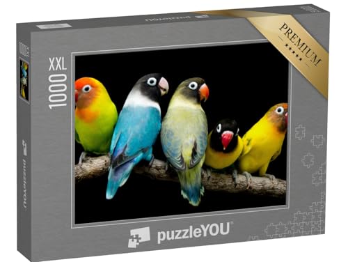 Puzzle 1000 Teile XXL „Lovebird: Papagei mit prächtigen Farben“ – aus der Puzzle-Kollektion Vögel, Papagei, Tiere in Dschungel & Regenwald von puzzleYOU