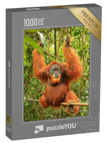 Puzzle 1000 Teile XXL „Männlicher Sumatra-Orang-Utan, Gunung Leuser National Park“ – aus der Puzzle-Kollektion Orang-Utan, Tiere in Dschungel & Regenwald von puzzleYOU