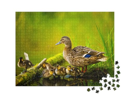 Puzzle 1000 Teile XXL „Mallard Weibchen mit kleinen Enten“ Puzzle 1000 Teile XXL „Mallard Weibchen mit kleinen Enten“ von puzzleYOU
