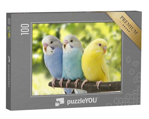 puzzleYOU: Puzzle 100 Teile „DREI Wellensittiche auf einem AST, blauweiße Vögel, gelber Vogel“ – aus der Puzzle-Kollektion Vögel, Wellensittiche von puzzleYOU