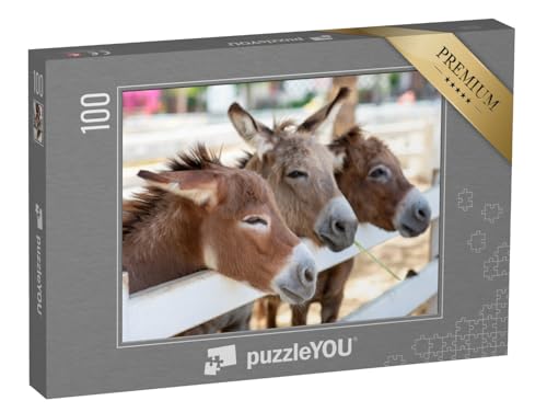 puzzleYOU: Puzzle 100 Teile „DREI neugierige Esel am Zaun“ puzzleYOU: Puzzle 100 Teile „DREI neugierige Esel am Zaun“ von puzzleYOU