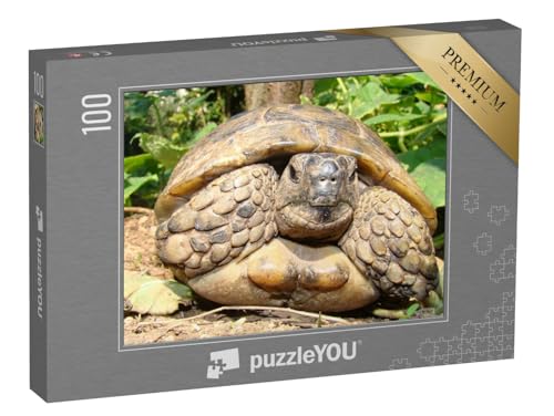 puzzleYOU: Puzzle 100 Teile „Detaillierte Nahaufnahme Einer Schildkröte“ – aus der Puzzle-Kollektion Meeresschildkröten, Fische & Wassertiere puzzleYOU: Puzzle 100 Teile „Detaillierte Nahaufnahme Einer Schildkröte“ – aus der Puzzle-Kollektion Meeresschildkröten, Fische & Wassertiere von puzzleYOU