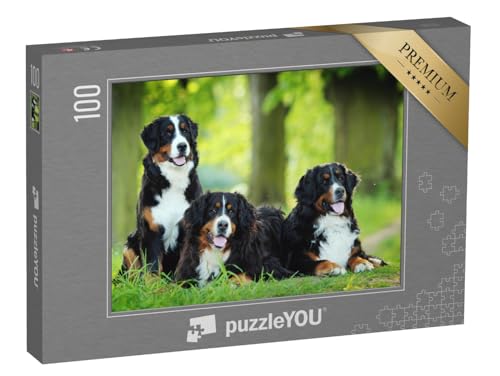 puzzleYOU: Puzzle 100 Teile „EIN Berner Sennenhund“ – aus der Puzzle-Kollektion Hunde, Berner Sennenhund von puzzleYOU