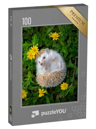 puzzleYOU: Puzzle 100 Teile „EIN Kleiner Igel im Blumengarten“ – aus der Puzzle-Kollektion Igel, Tiere in Wald & Gebirge von puzzleYOU