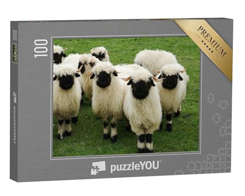 puzzleYOU: Puzzle 100 Teile „Eine Herde von weißen Schafen mit schwarzen Köpfen, Walliser Schwarznase“ – aus der Puzzle-Kollektion Schafe & Lämmer, Bauernhof-Tiere von puzzleYOU
