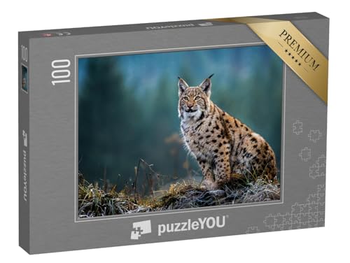 puzzleYOU: Puzzle 100 Teile „Eurasischer Luchs“ – aus der Puzzle-Kollektion Luchse, Tiere in Wald & Gebirge puzzleYOU: Puzzle 100 Teile „Eurasischer Luchs“ – aus der Puzzle-Kollektion Luchse, Tiere in Wald & Gebirge von puzzleYOU
