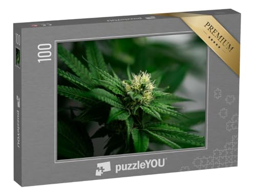 puzzleYOU: Puzzle 100 Teile „Frisches Cannabis: Grünes Gold“ von puzzleYOU