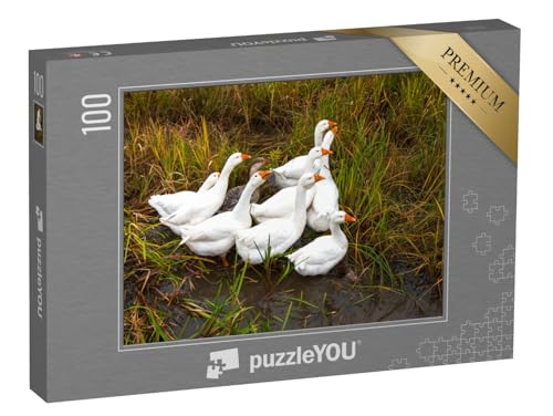 puzzleYOU: Puzzle 100 Teile „Gänse auf der Wiese“ – aus der Puzzle-Kollektion Gänse puzzleYOU: Puzzle 100 Teile „Gänse auf der Wiese“ – aus der Puzzle-Kollektion Gänse von puzzleYOU