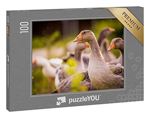 puzzleYOU: Puzzle 100 Teile „Gänse“ puzzleYOU: Puzzle 100 Teile „Gänse“ von puzzleYOU