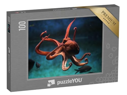 puzzleYOU: Puzzle 100 Teile „Gewöhnlicher Oktopus“ – aus der Puzzle-Kollektion Tintenfische puzzleYOU: Puzzle 100 Teile „Gewöhnlicher Oktopus“ – aus der Puzzle-Kollektion Tintenfische von puzzleYOU