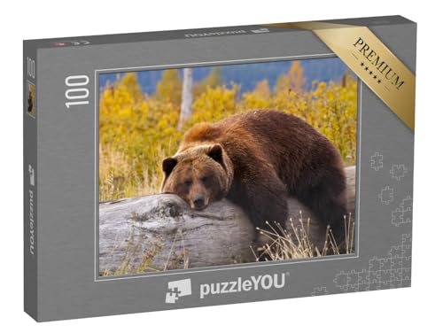 puzzleYOU: Puzzle 100 Teile „Grizzlybär, Alaska“ – aus der Puzzle-Kollektion Bären, Grizzlys, Raubtiere, Braunbären, Tiere des Nordens, Tiere in Wald & Gebirge von puzzleYOU