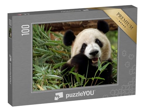 puzzleYOU: Puzzle 100 Teile „Großer Panda genießt Seine Bambus-Mahlzeit“ – aus der Puzzle-Kollektion Pandas, Exotische Tiere & Trend-Tiere puzzleYOU: Puzzle 100 Teile „Großer Panda genießt Seine Bambus-Mahlzeit“ – aus der Puzzle-Kollektion Pandas, Exotische Tiere & Trend-Tiere von puzzleYOU