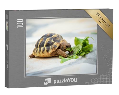 puzzleYOU: Puzzle 100 Teile „Haustierschildkröte bei ihrer Salat-Mahlzeit“ – aus der Puzzle-Kollektion Meeresschildkröten, Fische & Wassertiere von puzzleYOU