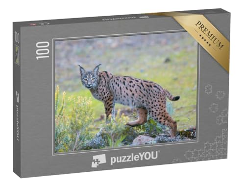 puzzleYOU: Puzzle 100 Teile „Iberischer Luchs in der Sierra Morena, Andalusien“ – aus der Puzzle-Kollektion Luchse, Tiere in Wald & Gebirge von puzzleYOU