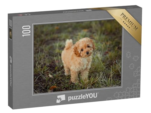 puzzleYOU: Puzzle 100 Teile „Kleiner brauner Pudelwelpe“ – aus der Puzzle-Kollektion Pudel, Hunde von puzzleYOU