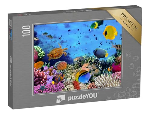 puzzleYOU: Puzzle 100 Teile „Korallenkolonie im Roten Meer, Ägypten“ – aus der Puzzle-Kollektion Korallen, Unterwasser, Fische & Wassertiere puzzleYOU: Puzzle 100 Teile „Korallenkolonie im Roten Meer, Ägypten“ – aus der Puzzle-Kollektion Korallen, Unterwasser, Fische & Wassertiere von puzzleYOU