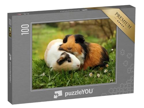 puzzleYOU: Puzzle 100 Teile „Meerschweinchenfreunde“ – aus der Puzzle-Kollektion Meerschweinchen puzzleYOU: Puzzle 100 Teile „Meerschweinchenfreunde“ – aus der Puzzle-Kollektion Meerschweinchen von puzzleYOU