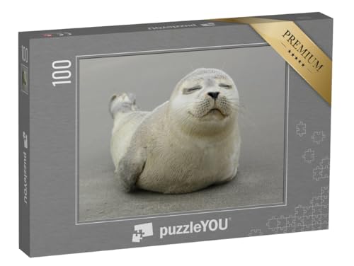 puzzleYOU: Puzzle 100 Teile „Niedliches Kegelrobbenjungtier“ – aus der Puzzle-Kollektion Robben puzzleYOU: Puzzle 100 Teile „Niedliches Kegelrobbenjungtier“ – aus der Puzzle-Kollektion Robben von puzzleYOU