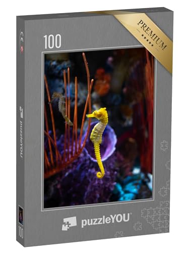 puzzleYOU: Puzzle 100 Teile „Seepferdchen im Aquarium“ – aus der Puzzle-Kollektion Seepferdchen puzzleYOU: Puzzle 100 Teile „Seepferdchen im Aquarium“ – aus der Puzzle-Kollektion Seepferdchen von puzzleYOU