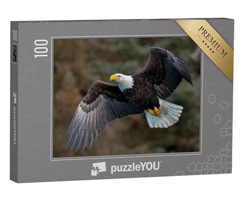 puzzleYOU: Puzzle 100 Teile „Weißkopfseeadler fliegt an einem Berghang, Alaska“ – aus der Puzzle-Kollektion Adler, Tiere in Wald & Gebirge von puzzleYOU