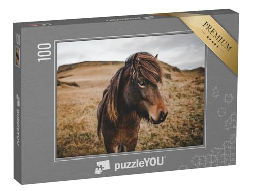 puzzleYOU: Puzzle 100 Teile „Wunderschönes Island-Pferd in Nahaufnahme“ – aus der Puzzle-Kollektion Pferde, Islandpferde puzzleYOU: Puzzle 100 Teile „Wunderschönes Island-Pferd in Nahaufnahme“ – aus der Puzzle-Kollektion Pferde, Islandpferde von puzzleYOU