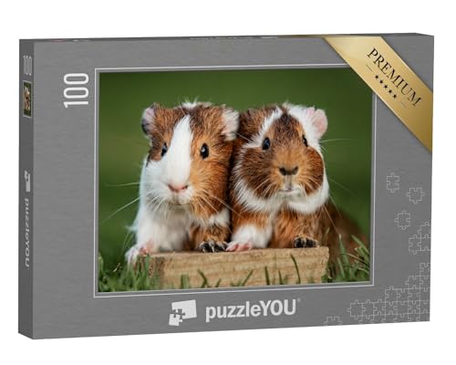 puzzleYOU: Puzzle 100 Teile „Zwei hübsche Meerschweinchen“ – aus der Puzzle-Kollektion Bauernhof-Tiere, Meerschweinchen von puzzleYOU