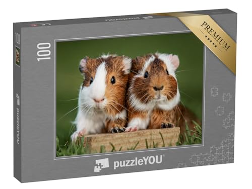 puzzleYOU: Puzzle 100 Teile „Zwei hübsche Meerschweinchen“ – aus der Puzzle-Kollektion Bauernhof-Tiere, Meerschweinchen von puzzleYOU