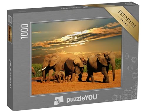 puzzleYOU: Puzzle 1000 Teile „Afrikanische Elefantenherde, Addo Elephant National Park, Südafrika“ – aus der Puzzle-Kollektion Safari, Elefanten, Tiere in Savanne & Wüste von puzzleYOU