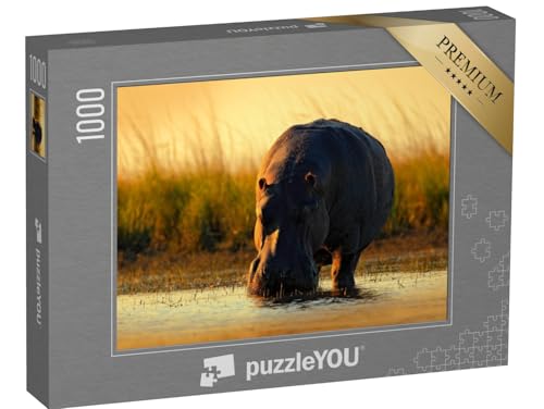 puzzleYOU: Puzzle 1000 Teile „Afrikanisches Flusspferd im Abendlicht, Botswana, Afrika“ – aus der Puzzle-Kollektion Safari, Nilpferde, Tiere in Savanne & Wüste puzzleYOU: Puzzle 1000 Teile „Afrikanisches Flusspferd im Abendlicht, Botswana, Afrika“ – aus der Puzzle-Kollektion Safari, Nilpferde, Tiere in Savanne & Wüste von puzzleYOU