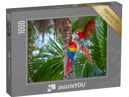 puzzleYOU: Puzzle 1000 Teile „Amazonas-Papageien an Einer Palme“ – aus der Puzzle-Kollektion Vögel, Papagei, Tiere in Dschungel & Regenwald von puzzleYOU