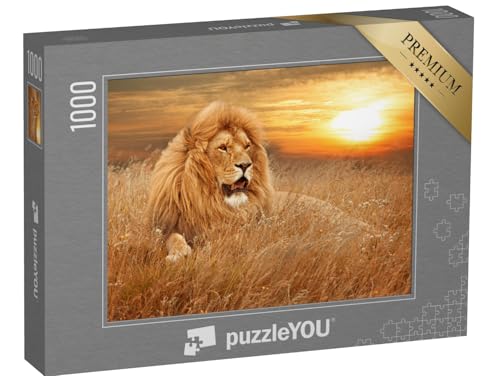 puzzleYOU: Puzzle 1000 Teile „Bild von Löwen im Gras“ – aus der Puzzle-Kollektion Löwen, Safari, Savanne, Tiere in Savanne & Wüste puzzleYOU: Puzzle 1000 Teile „Bild von Löwen im Gras“ – aus der Puzzle-Kollektion Löwen, Safari, Savanne, Tiere in Savanne & Wüste von puzzleYOU