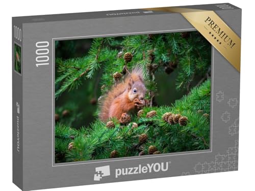 puzzleYOU: Puzzle 1000 Teile „Das kleine Eichhörnchen schlemmt hoch Oben im Baum“ – aus der Puzzle-Kollektion Eichhörnchen, Tiere in Wald & Gebirge von puzzleYOU