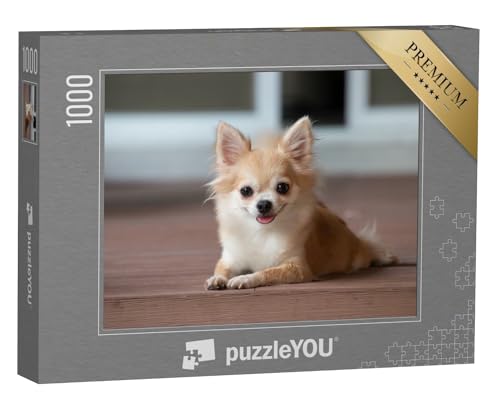 puzzleYOU: Puzzle 1000 Teile „EIN Chihuahua sitzt auf dem Boden“ – aus der Puzzle-Kollektion Hunde, Chihuahua von puzzleYOU